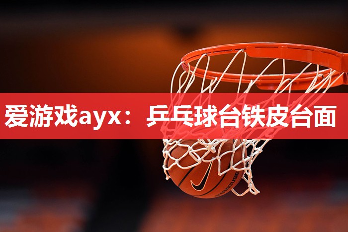 爱游戏ayx：乒乓球台铁皮台面