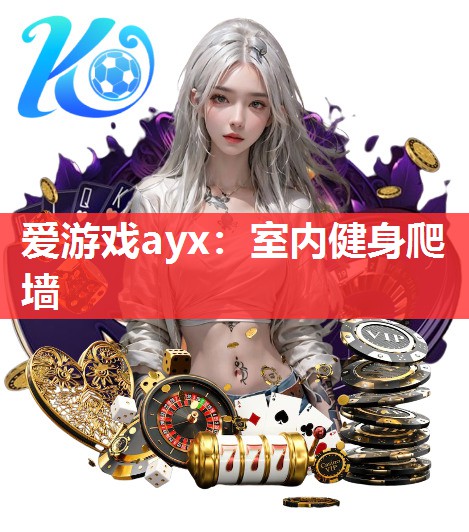 爱游戏ayx：室内健身爬墙