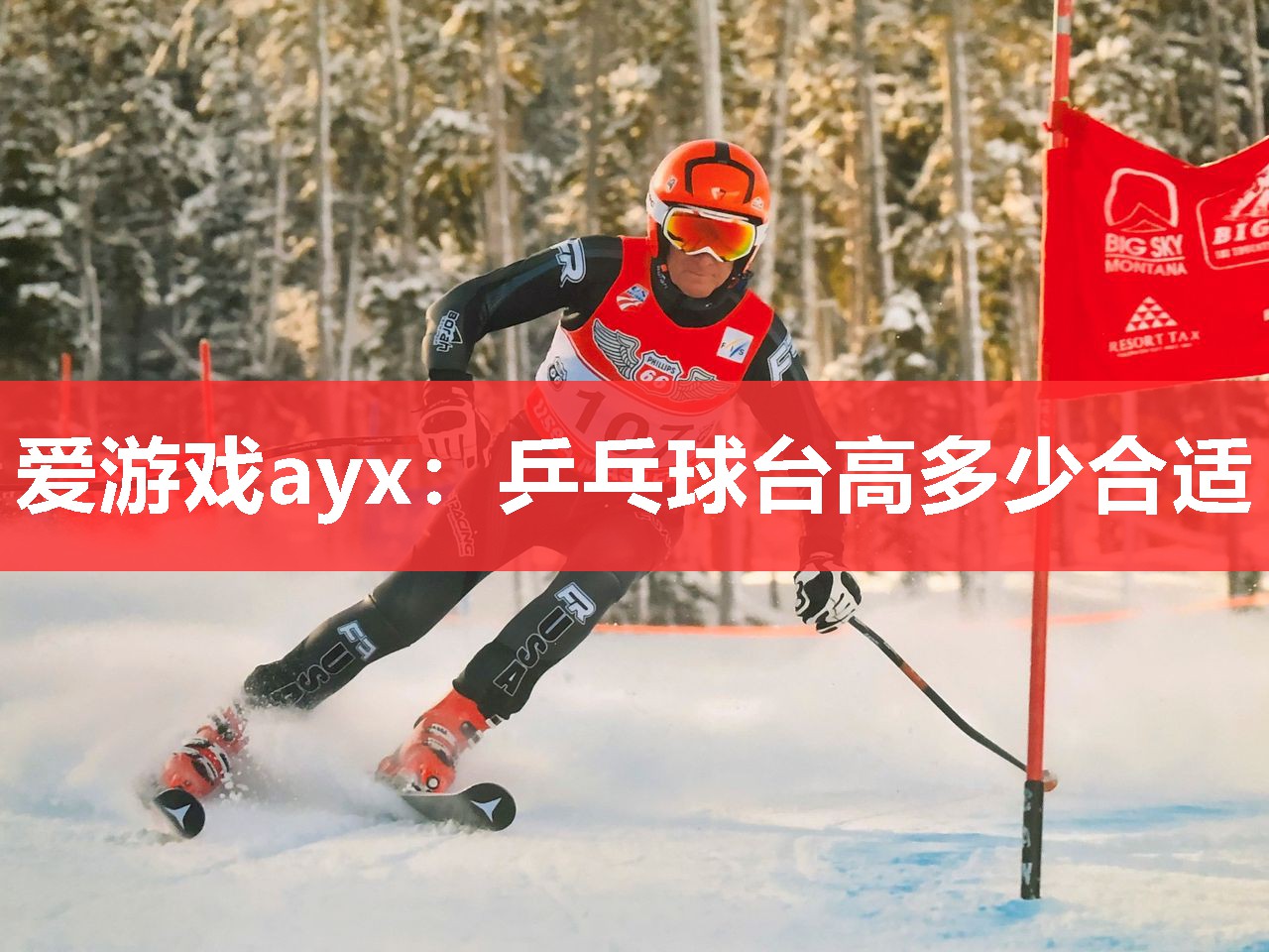 爱游戏ayx：乒乓球台高多少合适