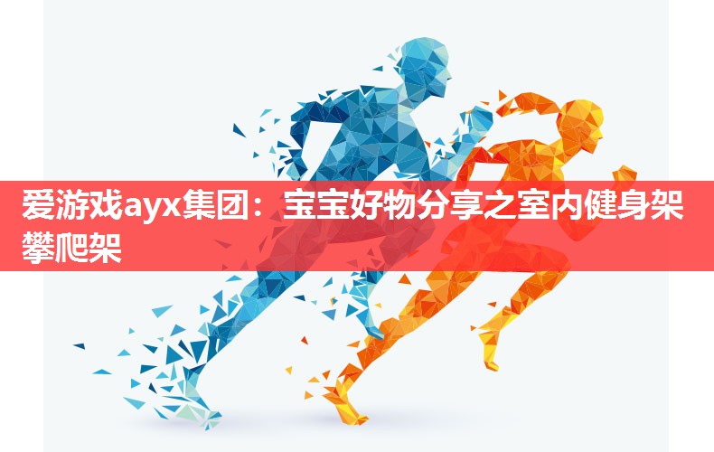 爱游戏ayx集团：宝宝好物分享之室内健身架攀爬架