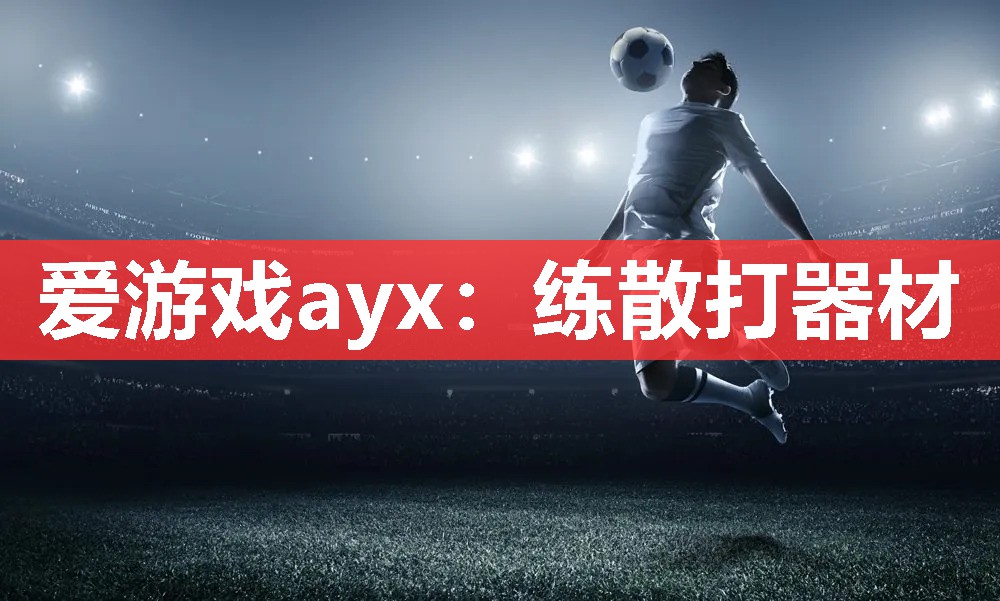 爱游戏ayx：练散打器材