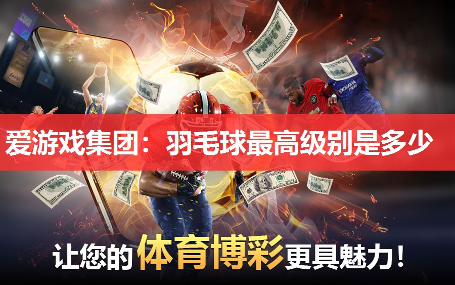 爱游戏集团：羽毛球最高级别是多少