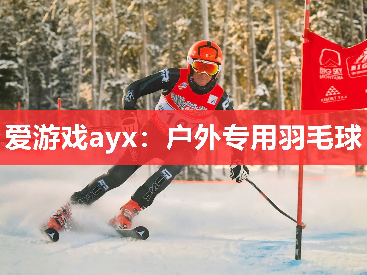 爱游戏ayx：户外专用羽毛球