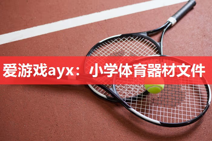 爱游戏ayx：小学体育器材文件