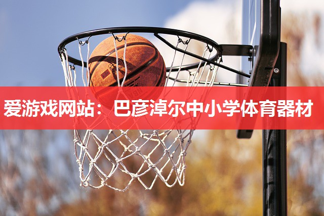 爱游戏网站：巴彦淖尔中小学体育器材